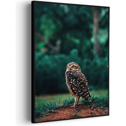 Muurwerken Akoestisch Schilderij - Uil In De Natuur - Geluidsdempend Wandpaneel - Wanddecoratie - Geluidsisolatie - BASIC (AW 0.65) XXL (107X150)