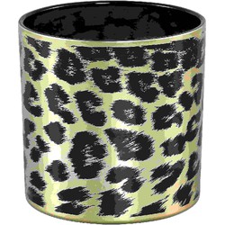 PTMD Desiree Windlicht Cheetah - H15 x Ø15 cm - Glas - Goud