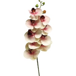 Bellatio Design Kunstbloem Orchidee - roze - 77 cm- losse steel - Kunstbloemen