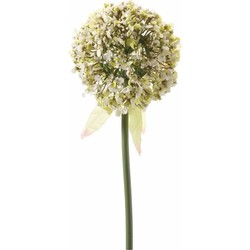 Kunstbloem - Sierui / Allium - wit/groen - 70 cm - kunststof decoratie - Kunstbloemen