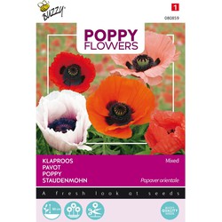 3 stuks - Poppies of the world papaver orientaalse - Buzzy