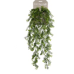 Seidenpflanze hängend an Kutter Buxus Kunstpflanze Kollektion - Driesprong Collection