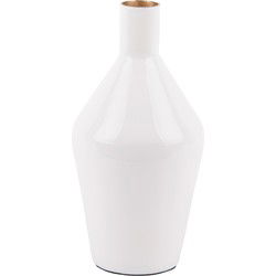 Vase Ivy Bottle Cone