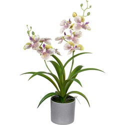 Louis Maes Orchidee bloemen kunstplant in bloempot - creme/lila bloemen - H38 cm - Kunstplanten