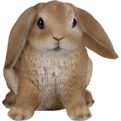 Tuinbeeldje bruin Hangoor konijntje 15 cm - Beeldjes