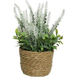 Everlands Lavendel - kunstplant in plantenmand - wit - D12 x H26 cm - Kunstplanten