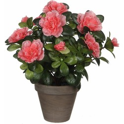 Groene Azalea kunstplant met perzikkleurige bloemen 27 cm met pot stan grey - Kunstplanten