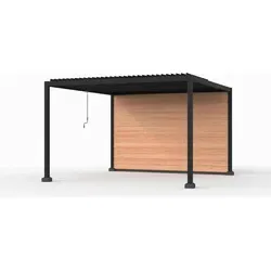 Aluminium pergola met lamellen zwart, 400 x 400 cm, combinatie 2