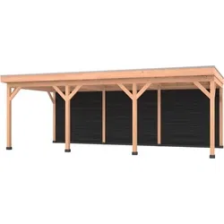 Douglas overkapping 750 x 350, met zwarte achterwand, Westwood Comfort