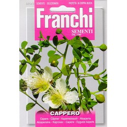 Kappertjes, Cappero 20/2 - Franchi