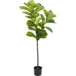 Kunstplant Ficus Tabaksplant 150 cm | NeverLeafs