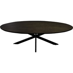 Livingfurn - Eetkamertafel Jesper Oval Brown 240 cm - Mangohout / Gecoat Staal