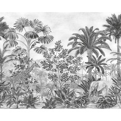 Komar fotobehang Jungle Evolution zwart wit - 350 x 280 cm - 610858