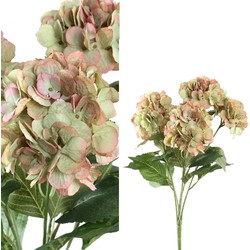 PTMD Hydrangea Flower Hortensia Kunststruik - 43x40x58 cm - Roze/Groen