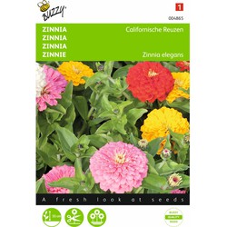 2 stuks - Zinnia elegans Californische Reuzen Gemengd