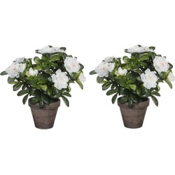 2x groene Azalea kunstplanten met witte bloemen 27 cm met pot stan grey - Kunstplanten