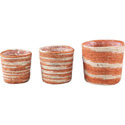 PTMD Mand Amer - 20x16x20 cm - Maisblad - Roest - Set van 3