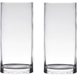 Set van 2x stuks glazen bloemen cylinder vaas/vazen 25 x 12 cm transparant - Vazen