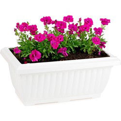 Plasticforte Plantenpot/bloempot Windsor - buiten - kunststof - wit - L33 x B18 x H15 cm - Plantenpotten