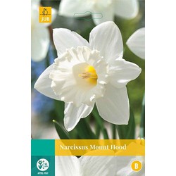 5 stuks - Narcissus Mount Hood 4 bollen