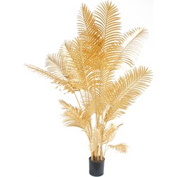 Greenmoods Palm Areca - Dypsis lutescens - Nep plant - 1 Stuk - 200cm - Goud -