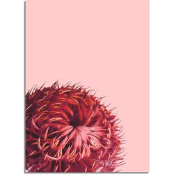 Rode bloem poster - Bloemstillevens - Rood  - A4 poster (21x29,7cm)