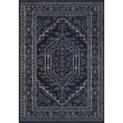 Safavieh Medallion Indoor Geweven Vloerkleed, Adirondack Collectie, ADR108, in Navy & Ivoor, 183 X 274 cm