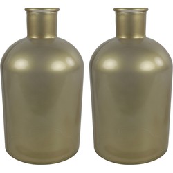 Countryfield vaas - 2x stuks - mat goud glas - fles - D17 x H31 cm - Vazen