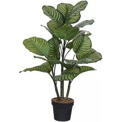 Calathea kunstplant - Buitengewoon de Boet