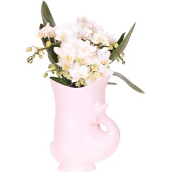 Kolibri Orchids | Witte orchidee 'Nazaré' + Fish pot roze - potmaat Ø9cm | bloeiende kamerplant - vers van de kweker