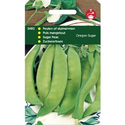 5 stuks - Saatgut Hülsenfrüchte Oregon Zucker 100g - Tuinplus