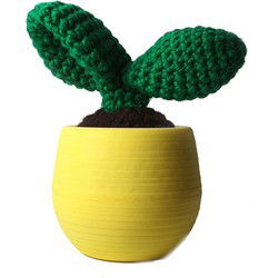 Mosterd Cactus Blad