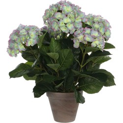 Mica Decorations hortensia lichtpaars in pot stan grijs d13,5 - 45x45