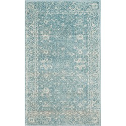 Safavieh Transitional Indoor Woven Area Rug, Evoke Collection, EVK270, in Light Blue & Ivory, 91 X 152 cm