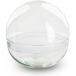 URBANJNGL - Dome XL - Bolglas - Gesloten terrarium ↑ 28 cm