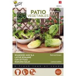 Patio Veggies, Romeinse Mini-sla (gemengd) - Buzzy