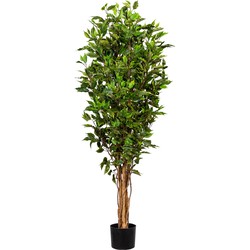 Kopu® Kunstplant Ficus Smal 150 cm in pot met Natuurstam