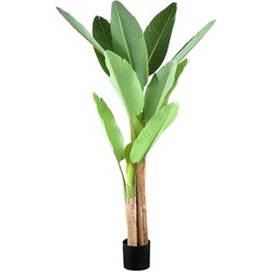 PTMD Kunstplant Bananen - 110x108x155 cm - Polyester - Groen