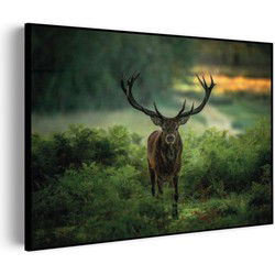 Muurwerken Akoestisch Schilderij - Edelhert In Het Bos - Geluidsdempend Wandpaneel - Wanddecoratie - Geluidsisolatie - BASIC (AW 0.65) S (70x50)
