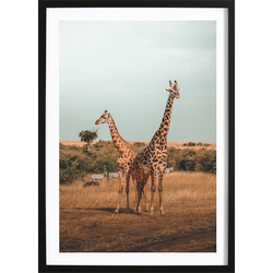 Giraffe Poster (21x29,7cm)