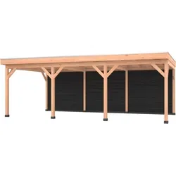 Douglas overkapping 750 x 400, met zwarte achterwand, Westwood Comfort