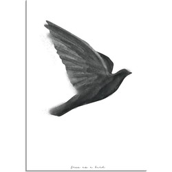 Vogel poster - Waterverf stijl - Interieur poster - Zwart wit poster - Free as a bird - B2 poster (50x70cm)