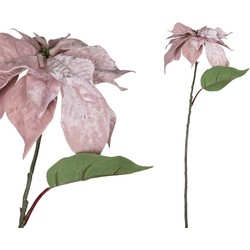 PTMD Leaves Plant Poinsettia Kunsttak - 13 x 27 x 70 cm - Velvet roze