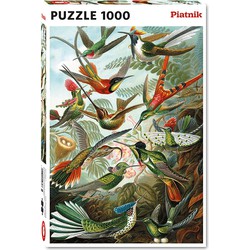 Piatnik Piatnik Hummingbirds - Ernst Haeckel (1000)