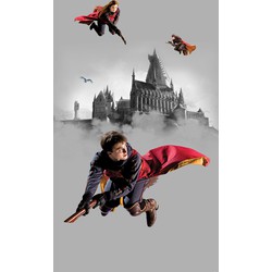 Sanders & Sanders fotobehang Harry Potter Zweintstein grijs en rood - 1,5 x 2,7 m - 601229