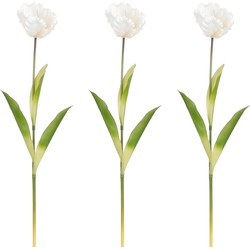 Mica Decorations Papegaai Tulp - Set van 3 - L73 cm - Crème