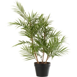 J-line - Bergpalm In Pot Plastiek Groen/zwart Small - 50x50x84cm