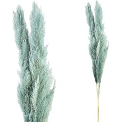 PTMD Dried Twig Pampas Gras - 65x7x110 cm - 3 stuks - Pacific Blauw