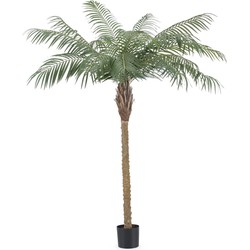 Kunstplant Phoenix Palm De Luxe 180 cm