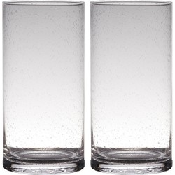 Set van 2x stuks transparante home-basics cylinder vorm vaas/vazen van bubbel glas 30 x 15 cm - Vazen